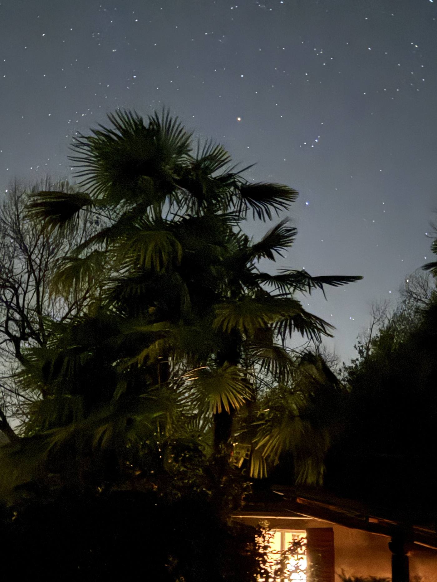Sternennacht