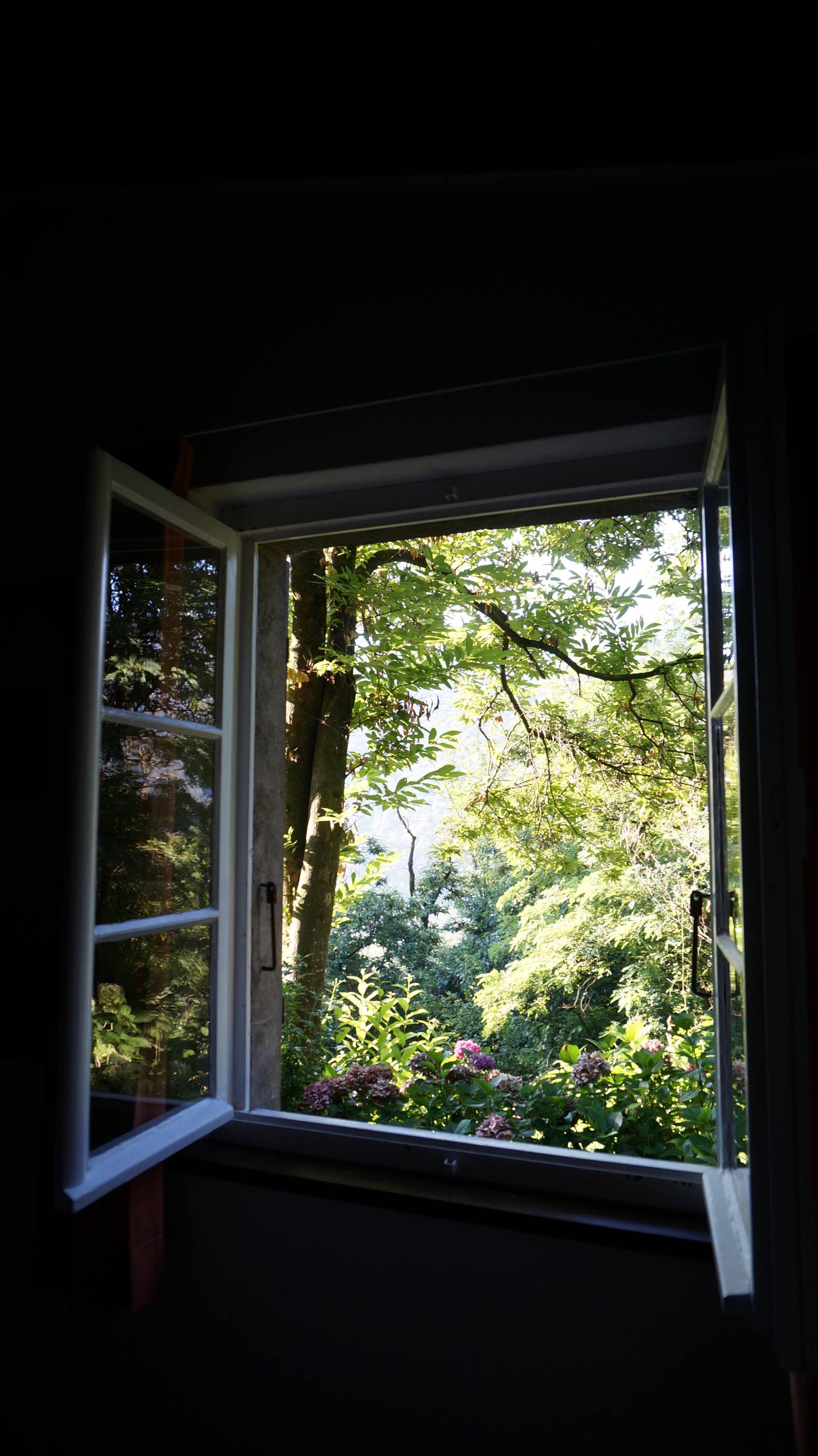 Fensterblick Grün